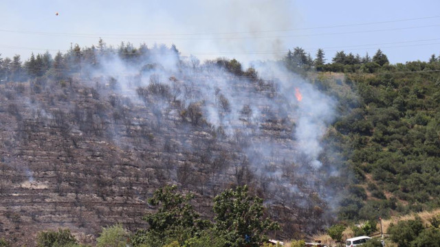 Kocaeli ve Muğla Marmaris'te ormanlık alanda yangın - Resim: 2