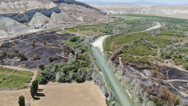Ankara Nallıhan'daki yangının sebebi belli oldu - Resim: 0