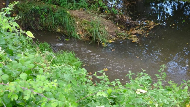 İSKİ yetkilisi 'bu suyu İstanbul'a içiremeyiz' dedi 1 yıl oldu ne arayan var ne soran - Resim: 1