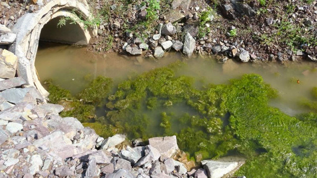 İSKİ yetkilisi 'bu suyu İstanbul'a içiremeyiz' dedi 1 yıl oldu ne arayan var ne soran - Resim: 0