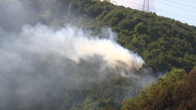 Sarıyer'de aynı ormanlık alanda üçüncü kez yangın çıktı - Resim: 0