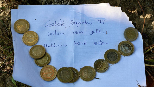 Eskişehir'de bağından izinsiz yenen üzüm için bırakılan not çiftçiyi duygulandırdı - Resim: 0