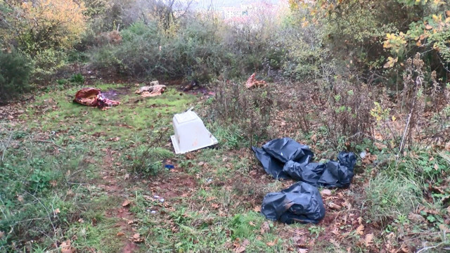 İstanbul Sarıyer'de orman içinde kesilmiş atlara ait parçalar bulundu - Resim: 0