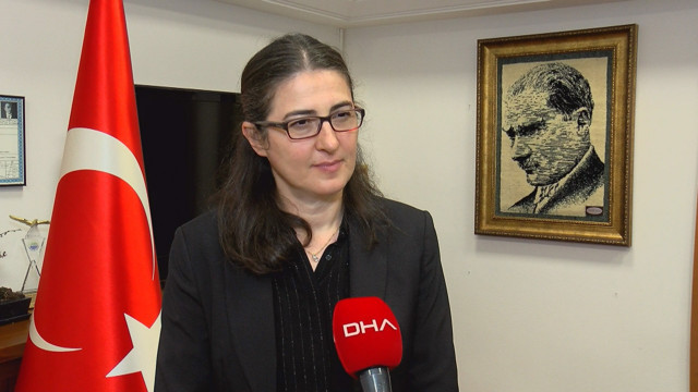 Marmara'da balıkçılığa müsilajın ardından denizanası tehdidi - Resim: 0