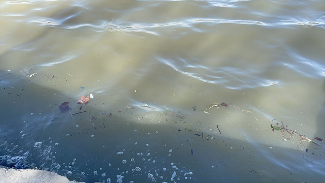 Haliç'i görenler şaşkına döndü suyun rengini görenler telefona sarıldı - Resim: 0