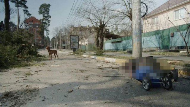 Rusya'nın 'ateşkes' amacı farklı! Ruslardan kurtarılan kenlerde sokaklar çürümüş ceset dolu - Resim: 1