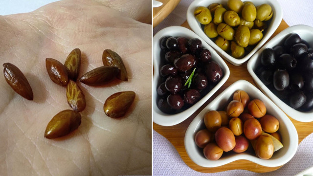 Canan Karatay 'yedikten sonra sakın çöpe atmayın yutun' dedi ne başınız ne dişiniz ağrır! İşte o besin - Resim: 0