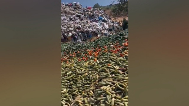 Fırsatçılar yine iş başında! Antalya'da tonlarca sebzeyi boş araziye döktüler - Resim: 1