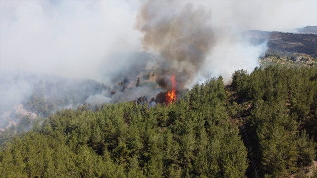 Milas'taki yangın kontrol altına alındı! Manisa'da yangın devam ediyor - Resim: 2