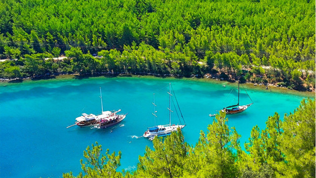 Bodrum Cennet Koyu iddiaları! Cengiz İnşaat villa ve otel dikiyor imarımız var diyorlar - Resim: 3