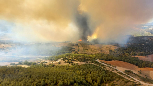 Manisa ve Kütahya'da orman yangını! 20 ev boşaltıldı, 40 kişi tahliye edildi - Resim: 4