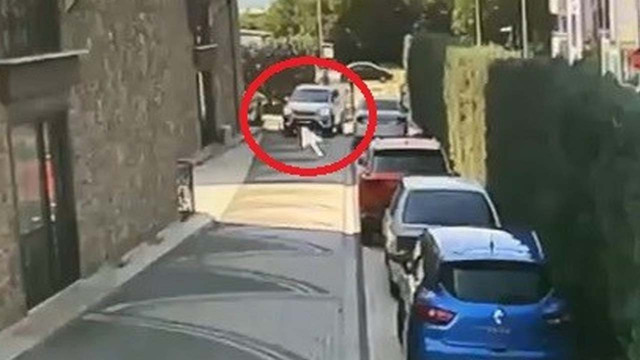 Bursa'da köpeği ezen sürücü pes dedirtti! Aracını park edip evine gitti - Resim: 0