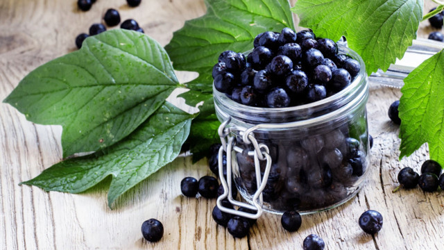 Kansere savaş açan süper meyve Aronya! Faydaları saymakla bitmiyor - Resim: 2