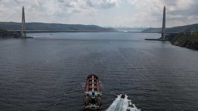 Razoni isimli tahıl yüklü gemi İstanbul'dan geçti Türkiye'nin de beklediği gemiler gelecek - Resim: 0