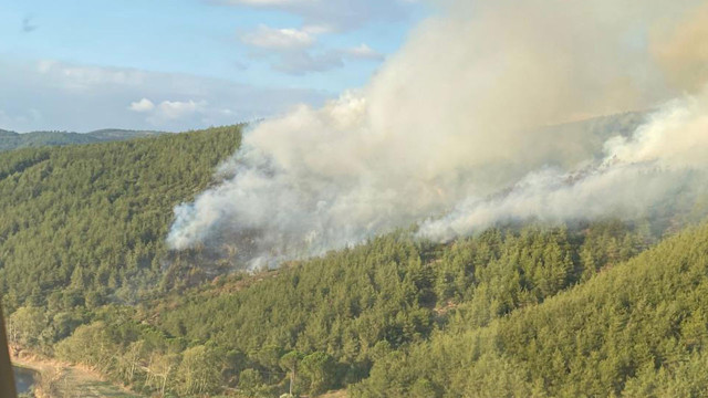 Balıkesir'de orman yangını kısmen kontrol altında alındı - Resim: 1