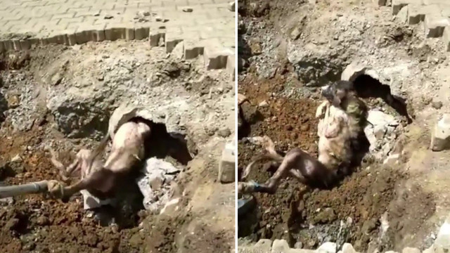 Denizli'de garip seslerin kaynağı şoke etti! Yer altından hiç beklenmedik bir şey çıktı - Resim: 0