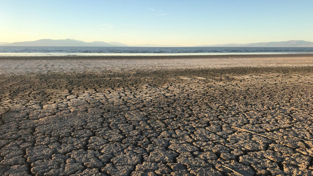 Dünyadaki oksijen 10 saniyeliğine kaybolsa neler olur? Tam bir felaket - Resim: 0