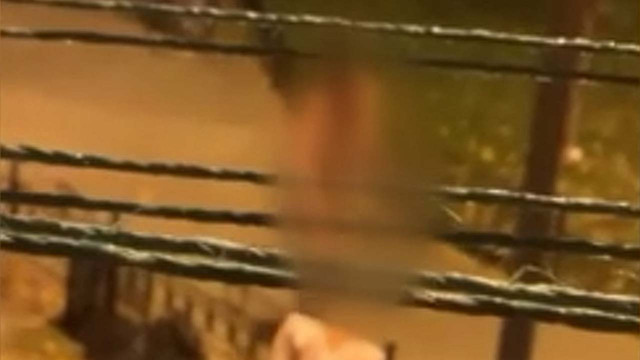 Fatih'te çıplak kadın mahalleliyi bezdirdi! Çocuk parkında rezalet Rus kadın çırılçıplak - Resim: 1