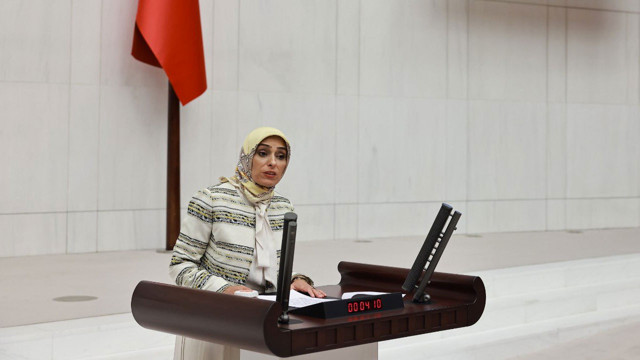 Zehra Taşkesenlioğlu eşi Ünsal Ban kimdir? Milletvekili Zehra Taşkesenlioğlu nereli kaç yaşında? - Resim: 4