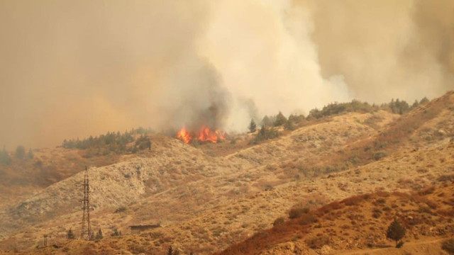Komşu günlerdir alevlerle mücadele ediyor: Türkiye’den uçak desteği! - Resim: 0