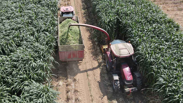 İnternette gördü ailesinin hayatını değiştirdi! 10 yaşındaki İzmirli kız yaptı büyük avantaj! - Resim: 1