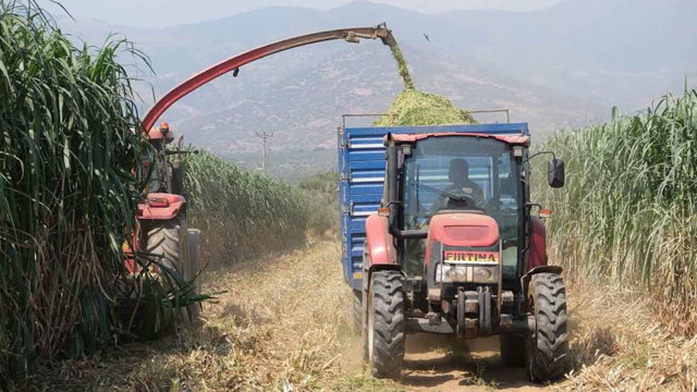 İnternette gördü ailesinin hayatını değiştirdi! 10 yaşındaki İzmirli kız yaptı büyük avantaj! - Resim: 2