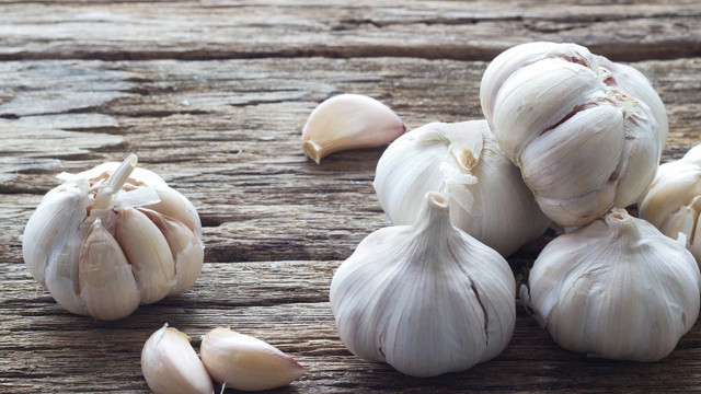 Kokuyor diye çekinmeyin sarımsağı bir de sütle yiyin kimse farketmeyecek bile! - Resim: 1