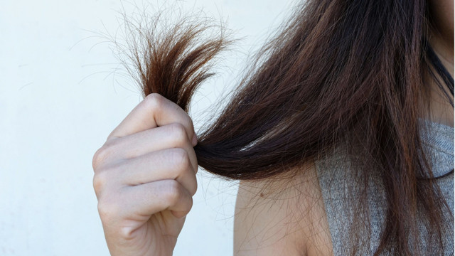 Ne yaptıysam olmuyor saçlarım çalı gibi kuru diyorsanız bir de bu kürü uygulayın! - Resim: 0