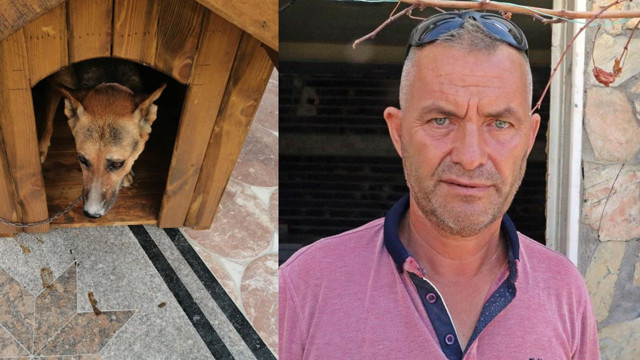 Antalya'da akılalmaz olay! Şahin'e sinirlenip 'Şahin'i katletti: Ötekini de vuracağım - Resim: 0