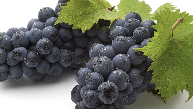 Günde 4 tane yeyin ömrünüz 5 sene uzasın!  İşte üzümün bilinmeyen bir faydası daha - Resim: 1