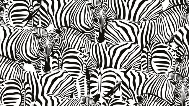 15 saniyede buldunuz mu? Gizli hayvanı yalnızca dahiler farkedebilir! - Resim: 0