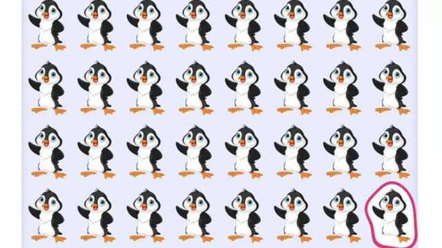 Farklı pengueni bulmak için sadece 7 saniyeniz var! Bakın kimler hemen buluyormuş - Resim: 1