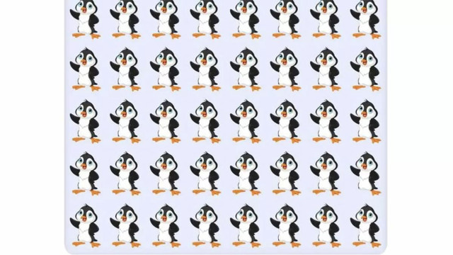 Farklı pengueni bulmak için sadece 7 saniyeniz var! Bakın kimler hemen buluyormuş - Resim: 0