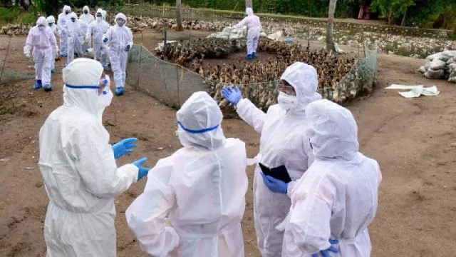 İngiltere salgın için harekete geçti! Tarih verildi ve kısıtlama kararı alındı - Resim: 0