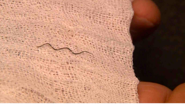 Fırından aldığın ekmeğin içinden öyle bir şey çıktı ki... 5 saat onunla yaşadı - Resim: 1