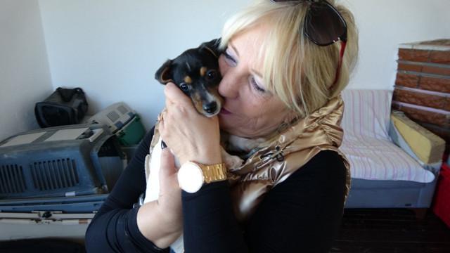 Kendisi cezaevine gitti ısırdığı köpeğin adresi bakın neresi oldu - Resim: 2