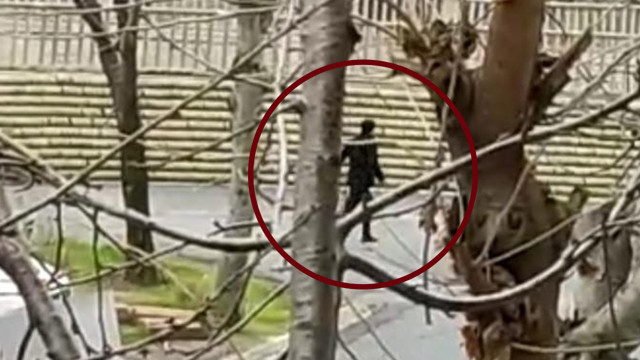 Sancaktepe'de sokakta kurşun yağdırdığı karısının başında bekledi - Resim: 0