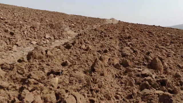 Olağanüstü kuraklık tedirgin etti! Çiftçi: Canımız tarlaya gitmek istemiyor - Resim: 1