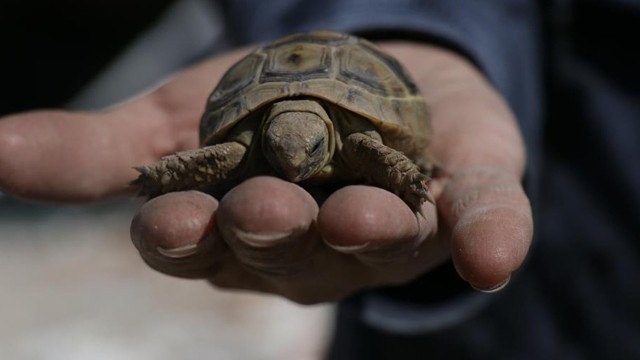 38 gün sonra girdiği ağır hasarlı evinde gözlerine inanamadı gülümseyerek dışarı çıktı - Resim: 0