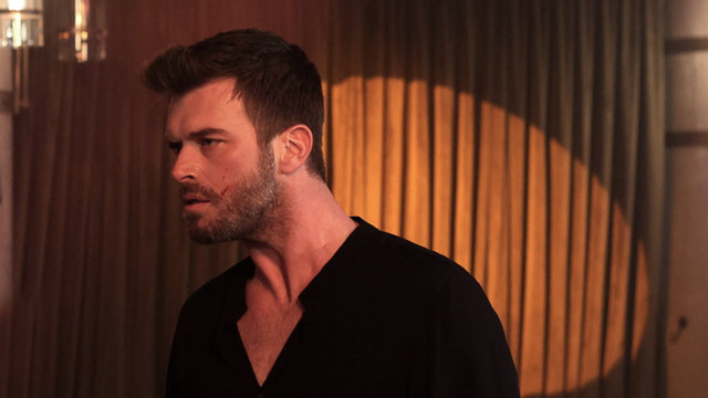 Aile dizisi kitaptan mı uyarlama kimin kitabı gerçek hikayenin yazarı kimdir? - Resim: 0