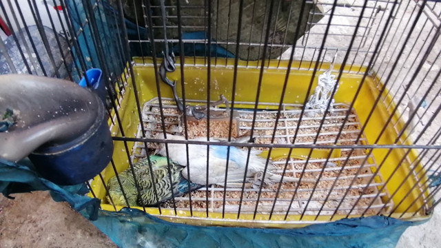 Antalya'da tinerle soba yakma girişimi felaketle sonuçlandı - Resim: 2