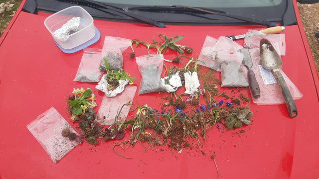 Türkiye'den Avrupa'ya kaçıracaklardı! İki Slovakyalıya 488 bin TL para cezası kesildi - Resim: 1