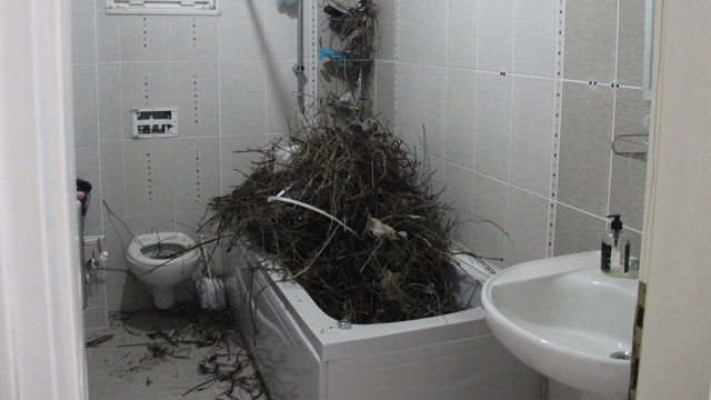 Banyoda iş üstünde yakaladı! 15 gün tatile gitti evine döndüğünde şoku yaşadı - Resim: 1