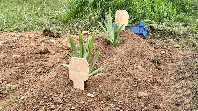 Kastamonu'da 5 aylık bebeğin ölüm nedeni vicdanları sızlattı! Anne ve sevgilisi tutuklandı - Resim: 1