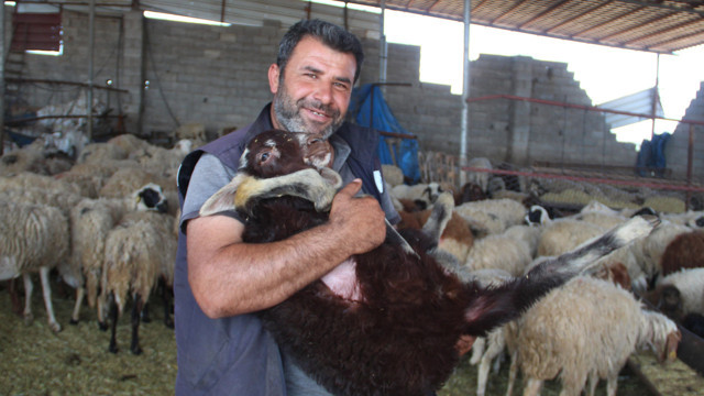 Depremzede telefonda duydukları karşısında şok oldu: 'Gel al' dediler, hiç beklemiyordum - Resim: 0