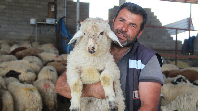 Depremzede telefonda duydukları karşısında şok oldu: 'Gel al' dediler, hiç beklemiyordum - Resim: 1