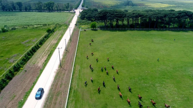 TOGG şampiyon atlarla yarıştı, antrenman yaptırdı! Görüntüler nefes kesti - Resim: 0