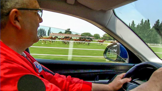 TOGG şampiyon atlarla yarıştı, antrenman yaptırdı! Görüntüler nefes kesti - Resim: 3