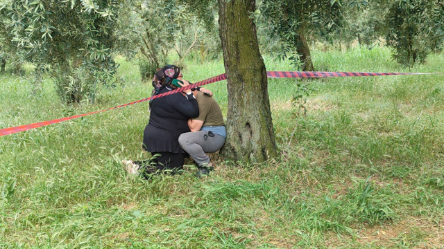 Bursa'da topladığı erikleri satmaya götürürken öldü - Resim: 1