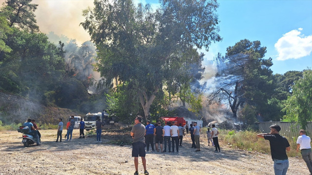 Antalya'daki orman yangını kontrol altına alındı! Vali Yazıcı nedenini açıkladı... - Resim: 0